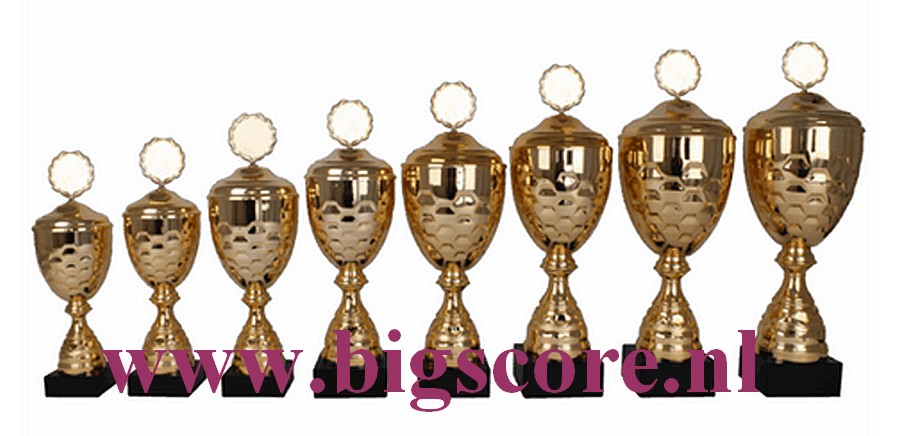 AK5171 Beker Goud 8-Delig